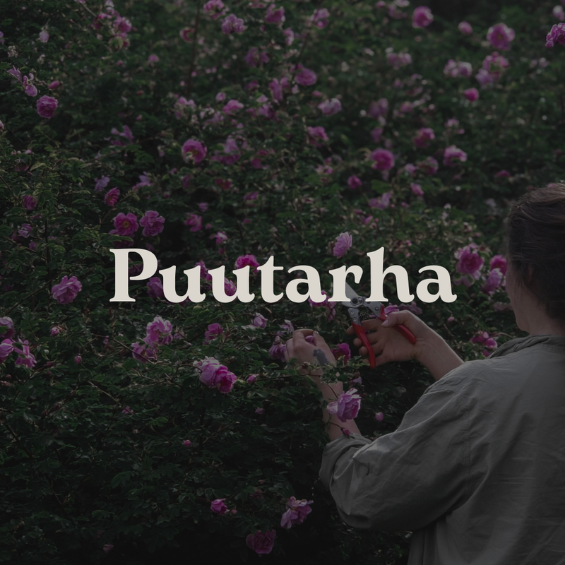 Puutarha