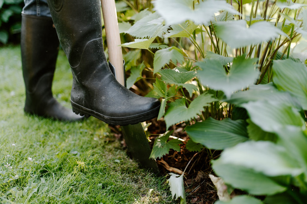 VANHAN TALON PUUTARHA 12.4.2026