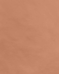 Meloni –  Savea savimaali