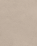Nude beige – Savea savimaali